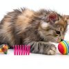 QUOZUO Cat Toys Pack 60pcs Balls Springs Mice Interactive-3