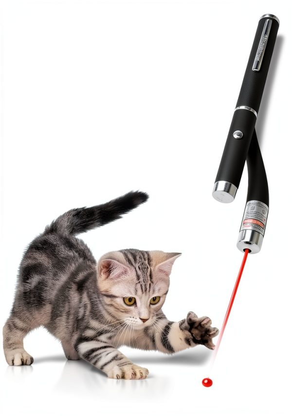 Yiwu Zhangkun Laser Pen Cat Toy Metal Alloy Pet Training-6