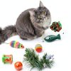 Kole Christmas Cat Stocking Toy Set for Feline Play-4