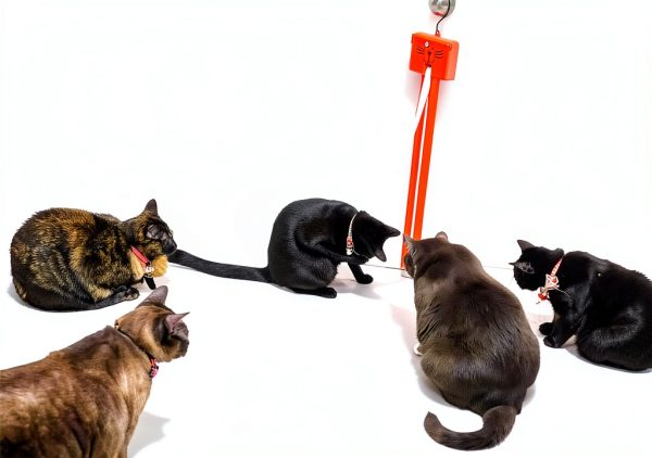 CRMADA Fling Ama String Cat Toy Battery Operated Interactive-4